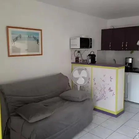 Studio fonctionnel à Agde, 30 m² avec jardin Apartment