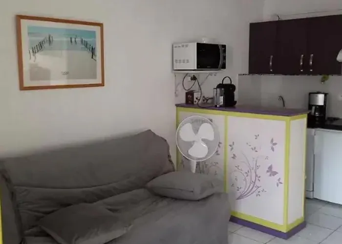 Studio Fonctionnel A Agde, 30 M² Avec Jardin Daire
